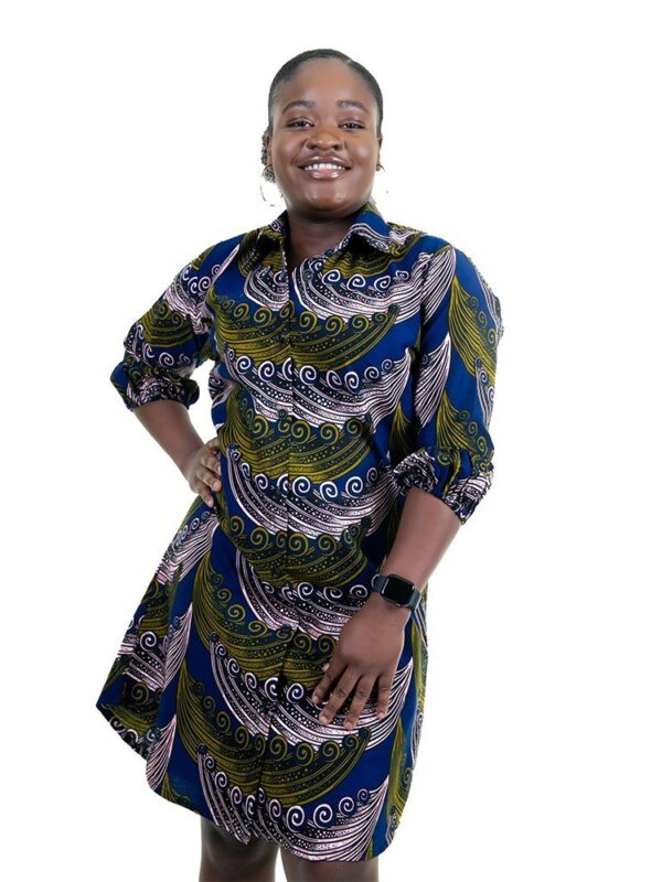 Zhiva Shirt Dress Blue